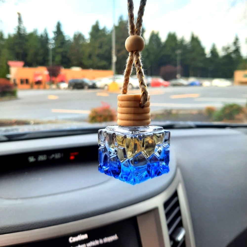 Hanging Diffuser Essential Oils Custom Scents Natural Car Fresie Air Freshener